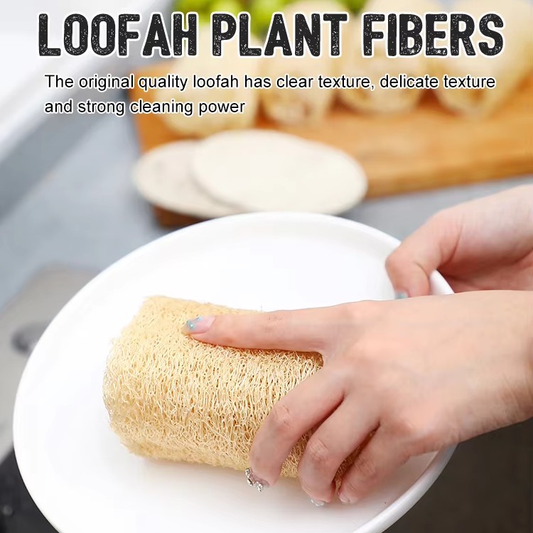 Reinigung der Küchen-Luffa-Badebürste